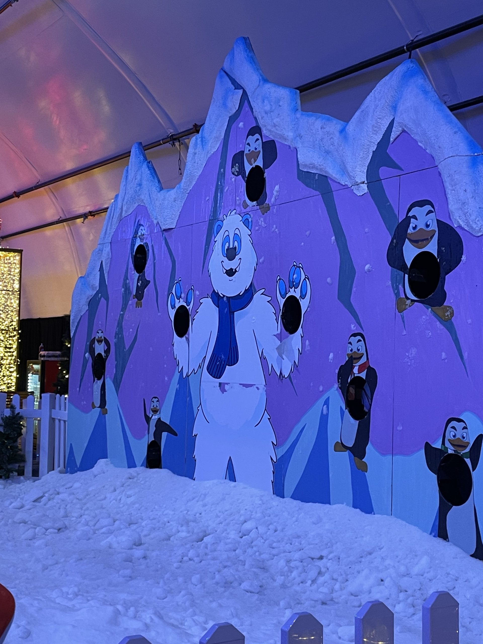 Yeti snowball target wall at Snow Carnival