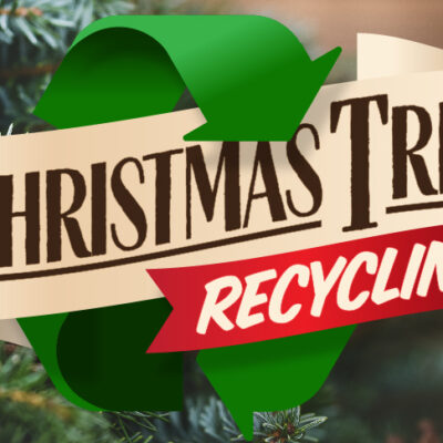 Christmas tree recycling in Las Vegas and Henderson