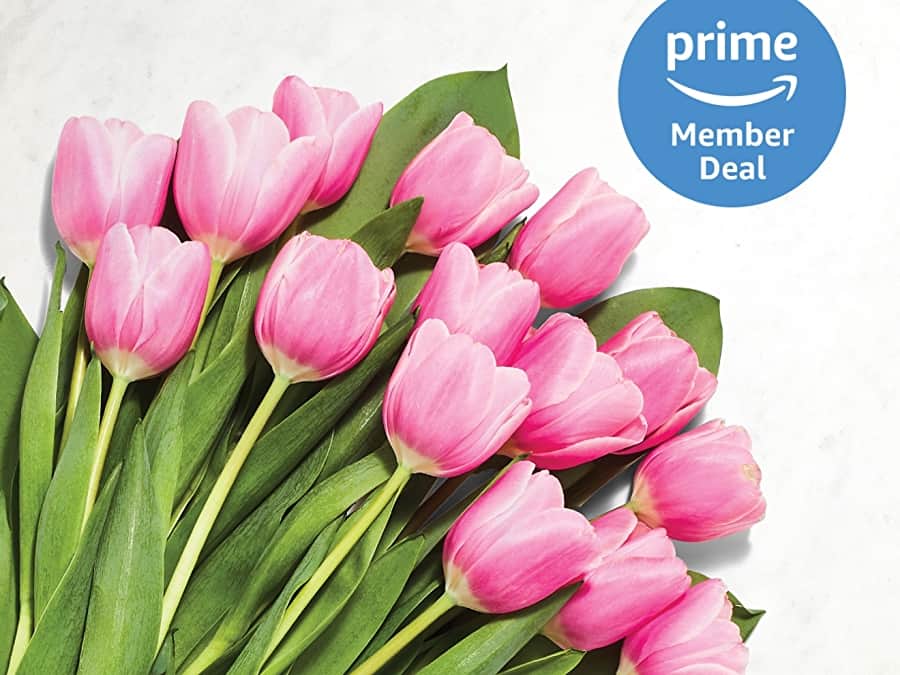 Whole Foods Market tulip sale for Mother's Day