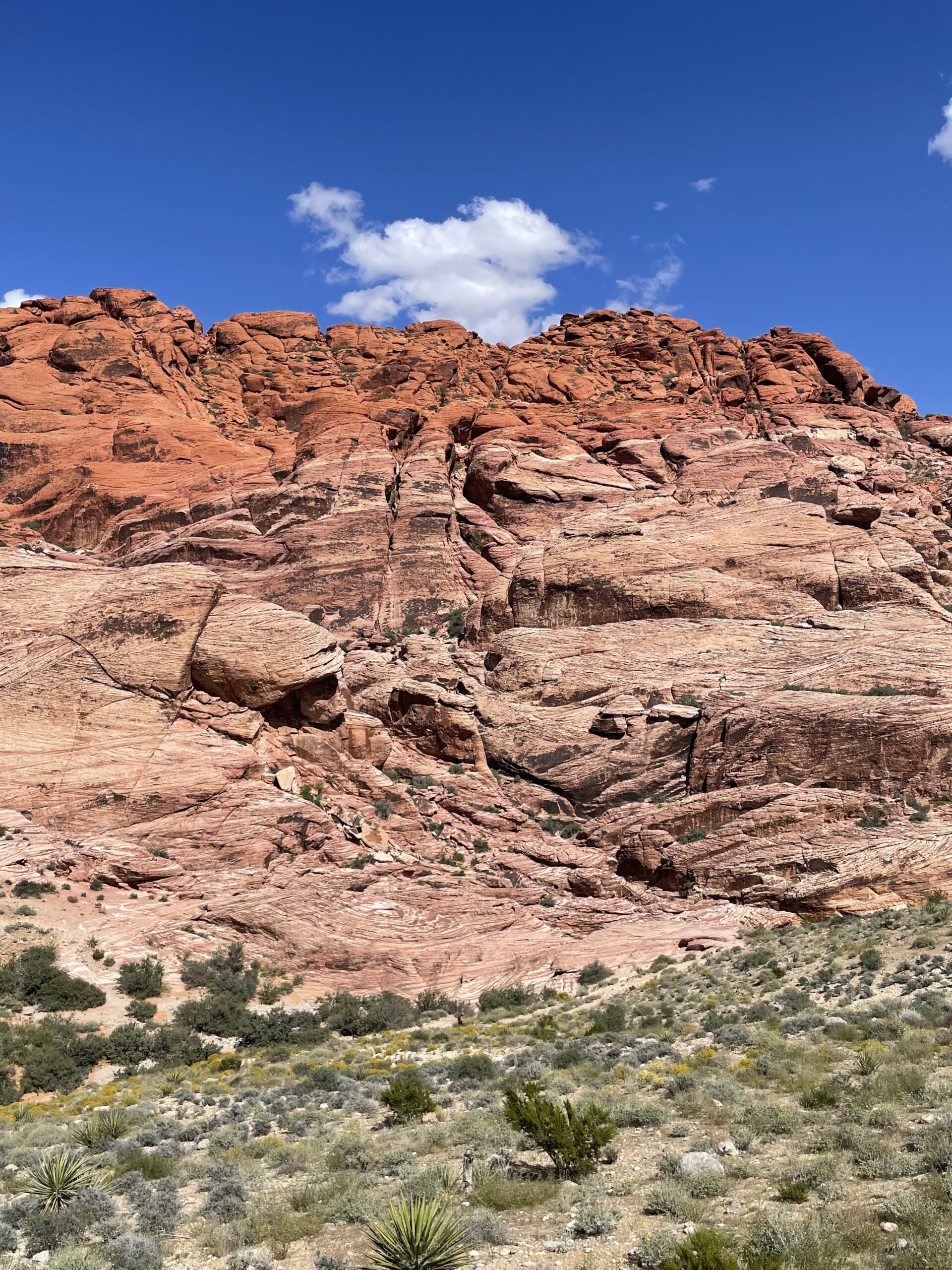 Red Rock canyon national conservation area- free pass for military