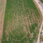 Halloween acitvities corn maze in Moapa