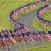 Flags for Veterans and military discount