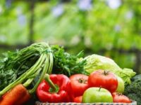 Fresh vegetables farmers markets