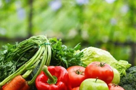 Fresh vegetables farmers markets